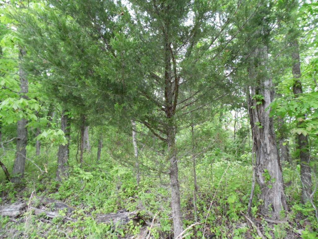 46 Ritchey Road Lawrenceburg, KY 40342 - Photo 3 of 7 Photo 3