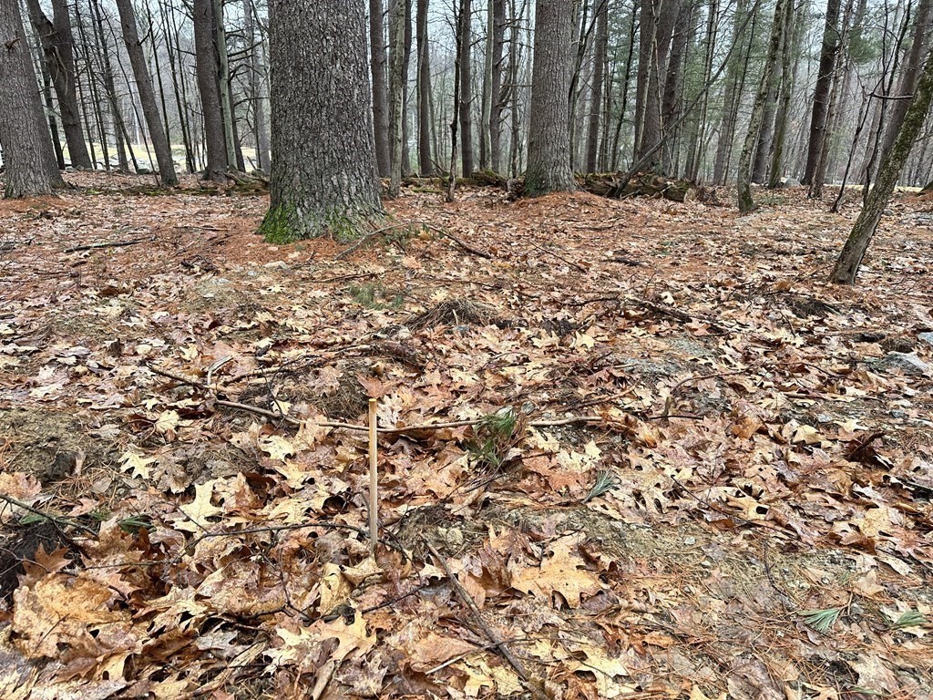 86 High Ma Upton, MA 01568 - Photo 6 of 10 Gallery Image 6