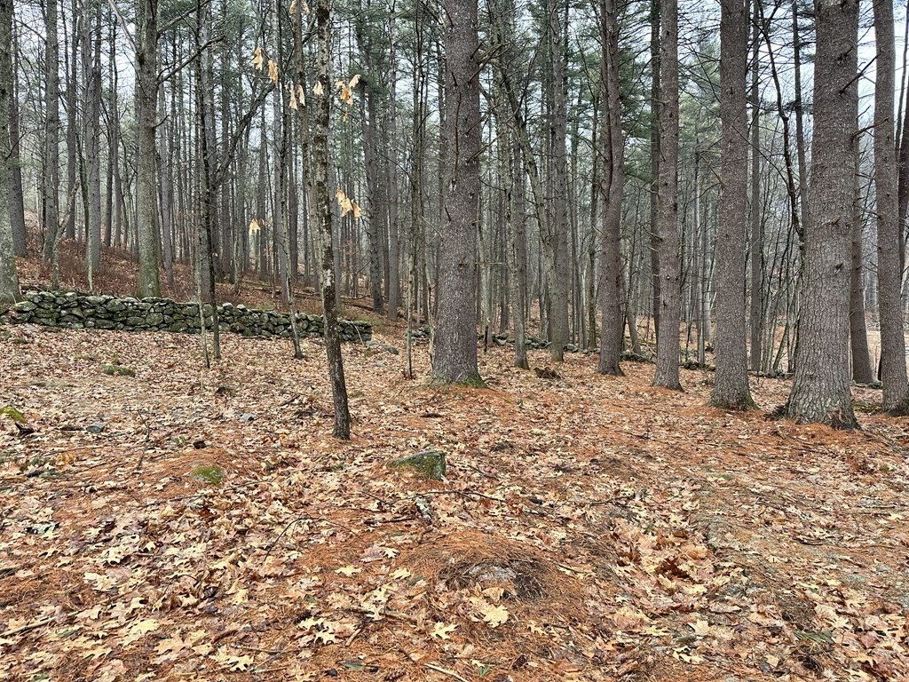 86 High Ma Upton, MA 01568 - Photo 8 of 10 Gallery Image 8