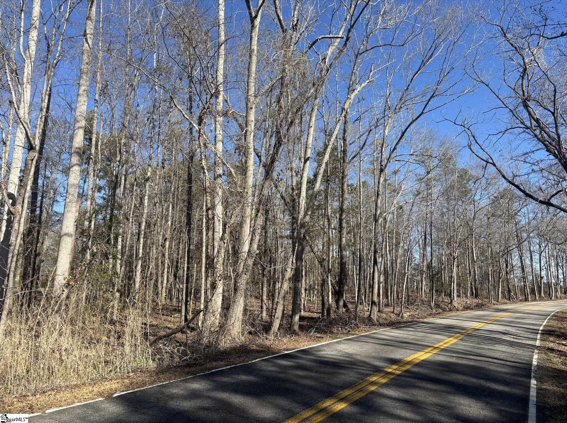 0 Fincher Road Pauline, SC 29374 - Photo 1 of 16