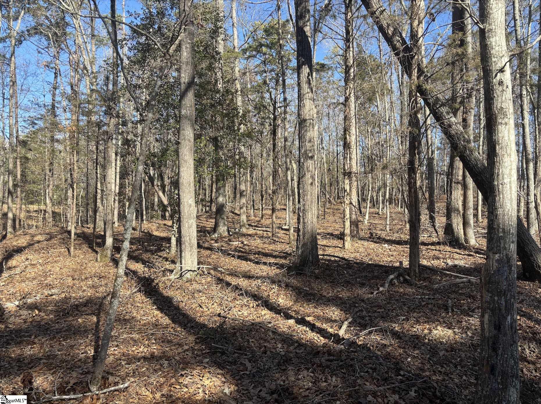 0 Fincher Road Pauline, SC 29374 - Photo 2 of 16