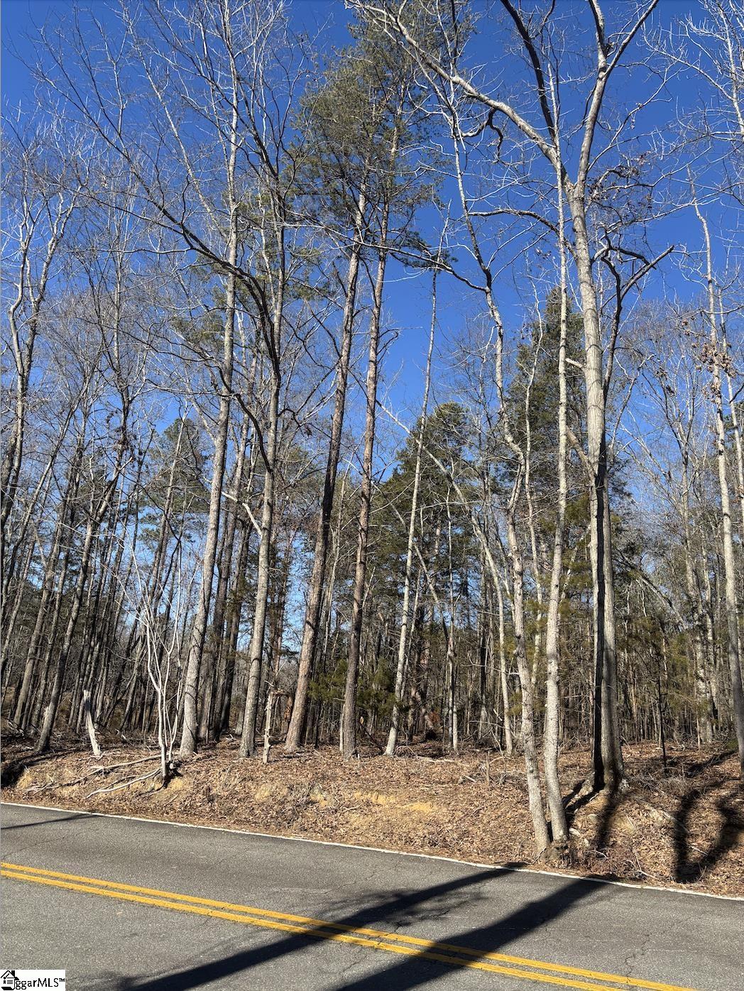 0 Fincher Road Pauline, SC 29374 - Photo 4 of 16