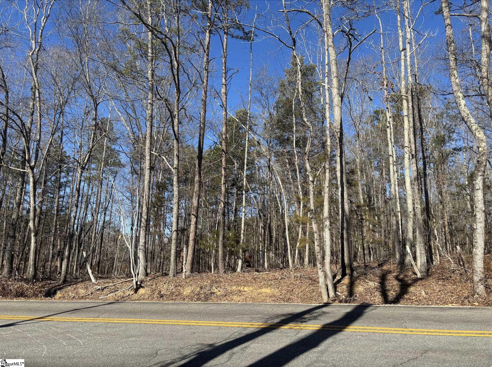 0 Fincher Road Pauline, SC 29374 - Photo 5 of 16