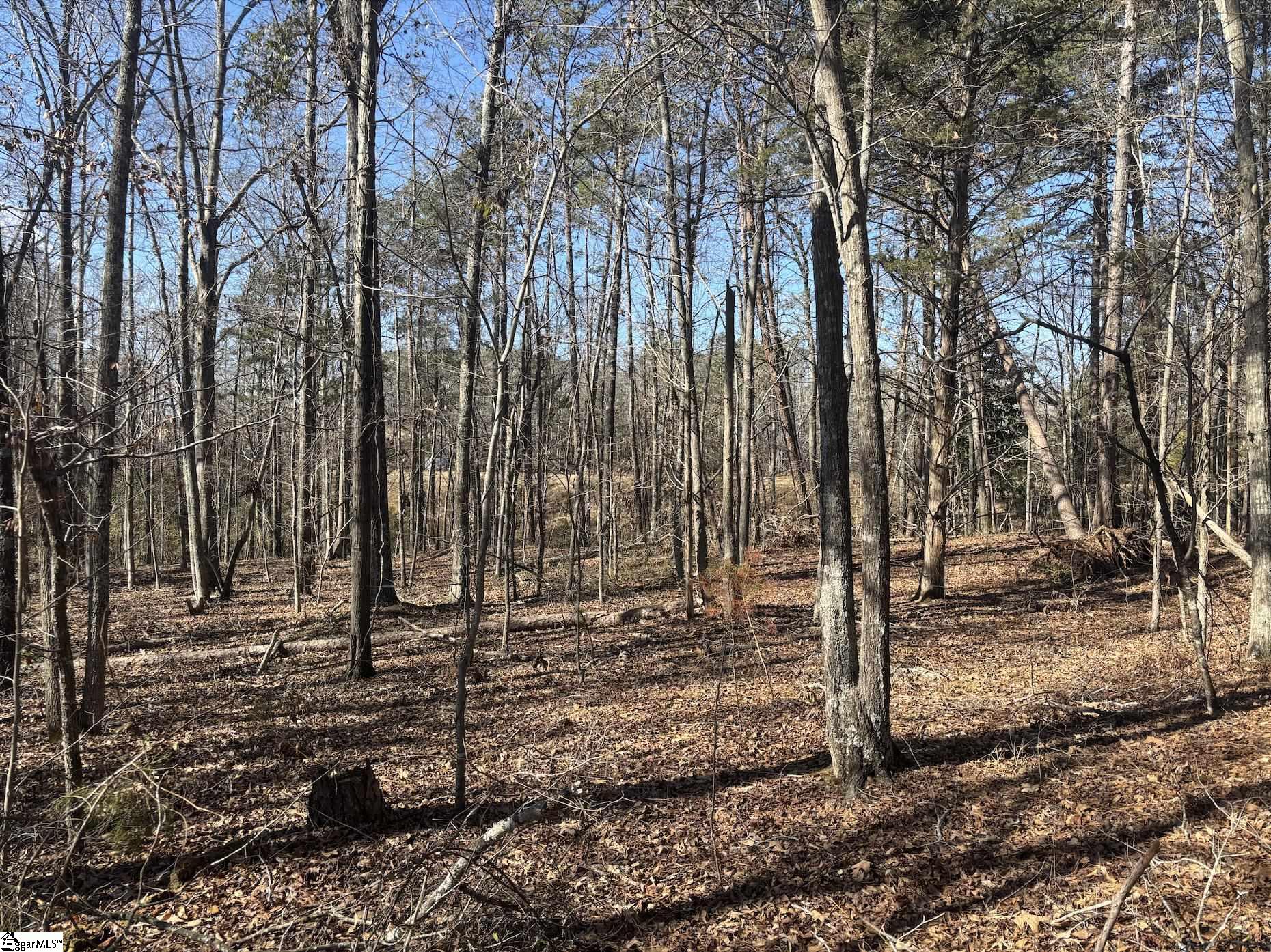 0 Fincher Road Pauline, SC 29374 - Photo 8 of 16