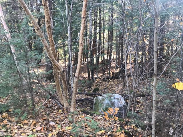 29 Mt Vernon Terrace Road Webster, NH 03303 - Photo 19 of 23