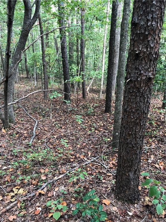 0 Pleasant Hill Loop Road Rutherfordton, NC 28139 - Photo 11 of 17