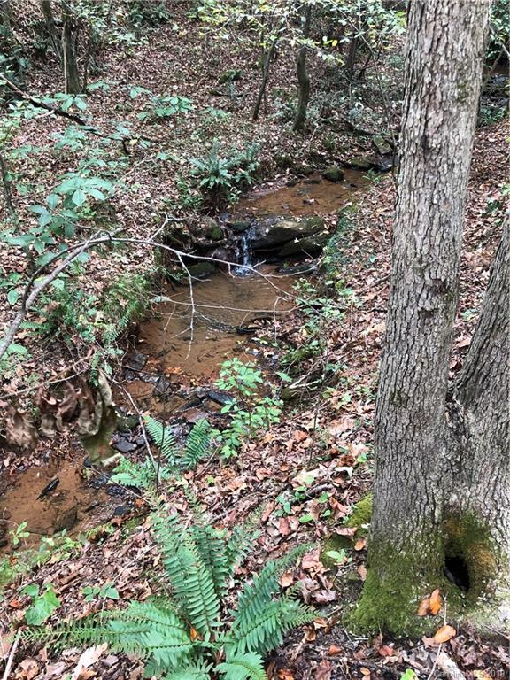 0 Pleasant Hill Loop Road Rutherfordton, NC 28139 - Photo 12 of 17