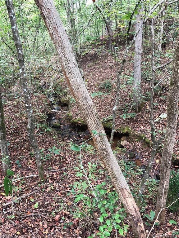 0 Pleasant Hill Loop Road Rutherfordton, NC 28139 - Photo 14 of 17