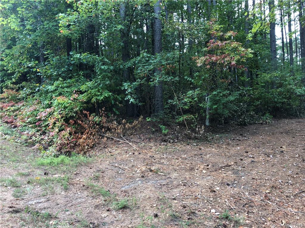 0 Pleasant Hill Loop Road Rutherfordton, NC 28139 - Photo 15 of 17
