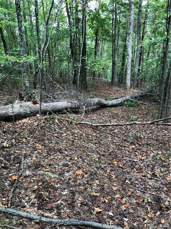 0 Pleasant Hill Loop Road Rutherfordton, NC 28139 - Photo 16 of 17