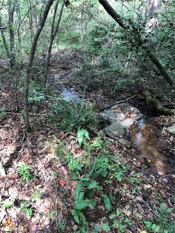 0 Pleasant Hill Loop Road Rutherfordton, NC 28139 - Photo 17 of 17