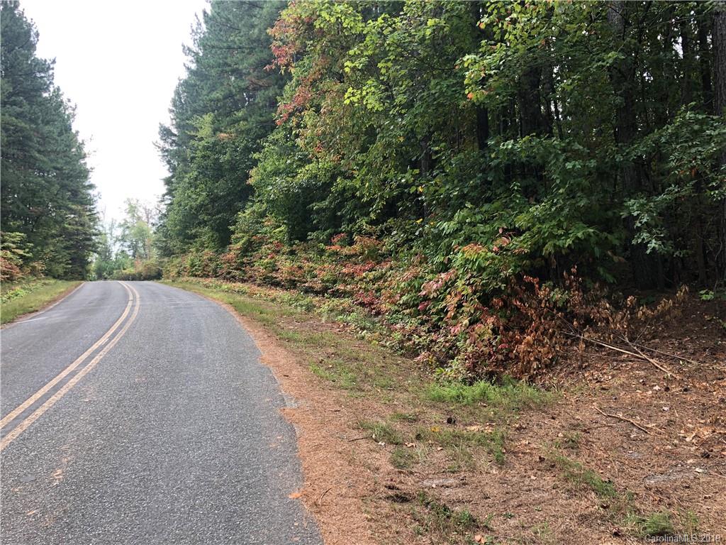 0 Pleasant Hill Loop Road Rutherfordton, NC 28139 - Photo 3 of 17