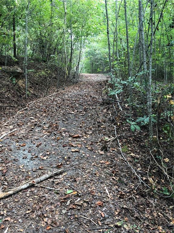 0 Pleasant Hill Loop Road Rutherfordton, NC 28139 - Photo 4 of 17