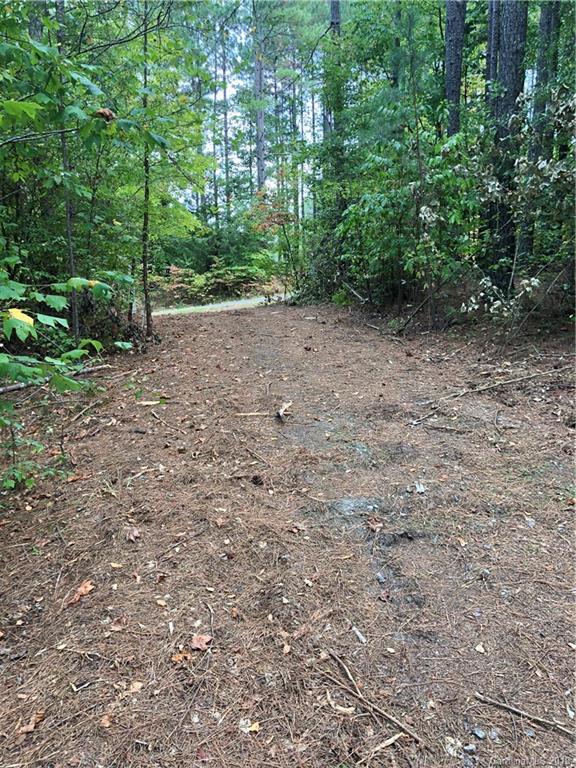 0 Pleasant Hill Loop Road Rutherfordton, NC 28139 - Photo 5 of 17