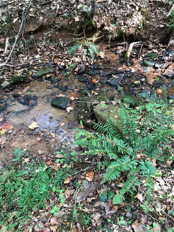 0 Pleasant Hill Loop Road Rutherfordton, NC 28139 - Photo 6 of 17