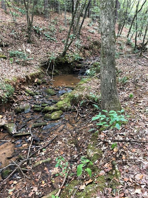 0 Pleasant Hill Loop Road Rutherfordton, NC 28139 - Photo 7 of 17