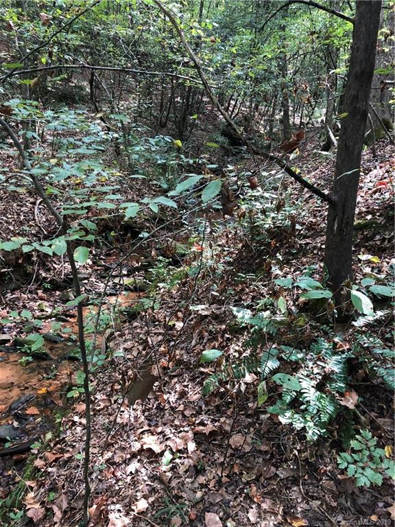0 Pleasant Hill Loop Road Rutherfordton, NC 28139 - Photo 8 of 17