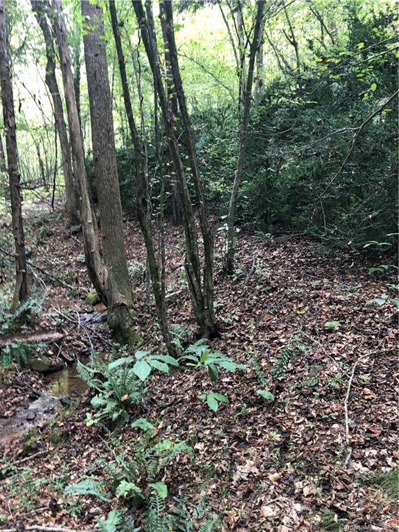 0 Pleasant Hill Loop Road Rutherfordton, NC 28139 - Photo 9 of 17