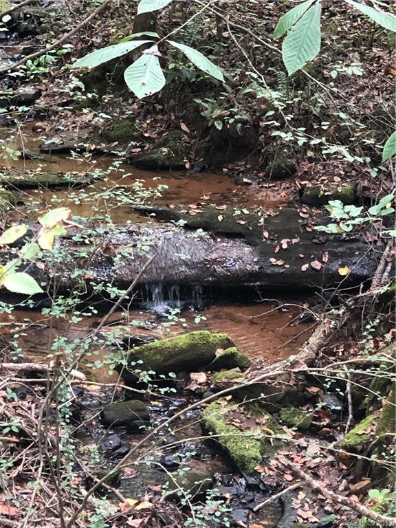 0 Pleasant Hill Loop Road Rutherfordton, NC 28139 - Photo 10 of 17