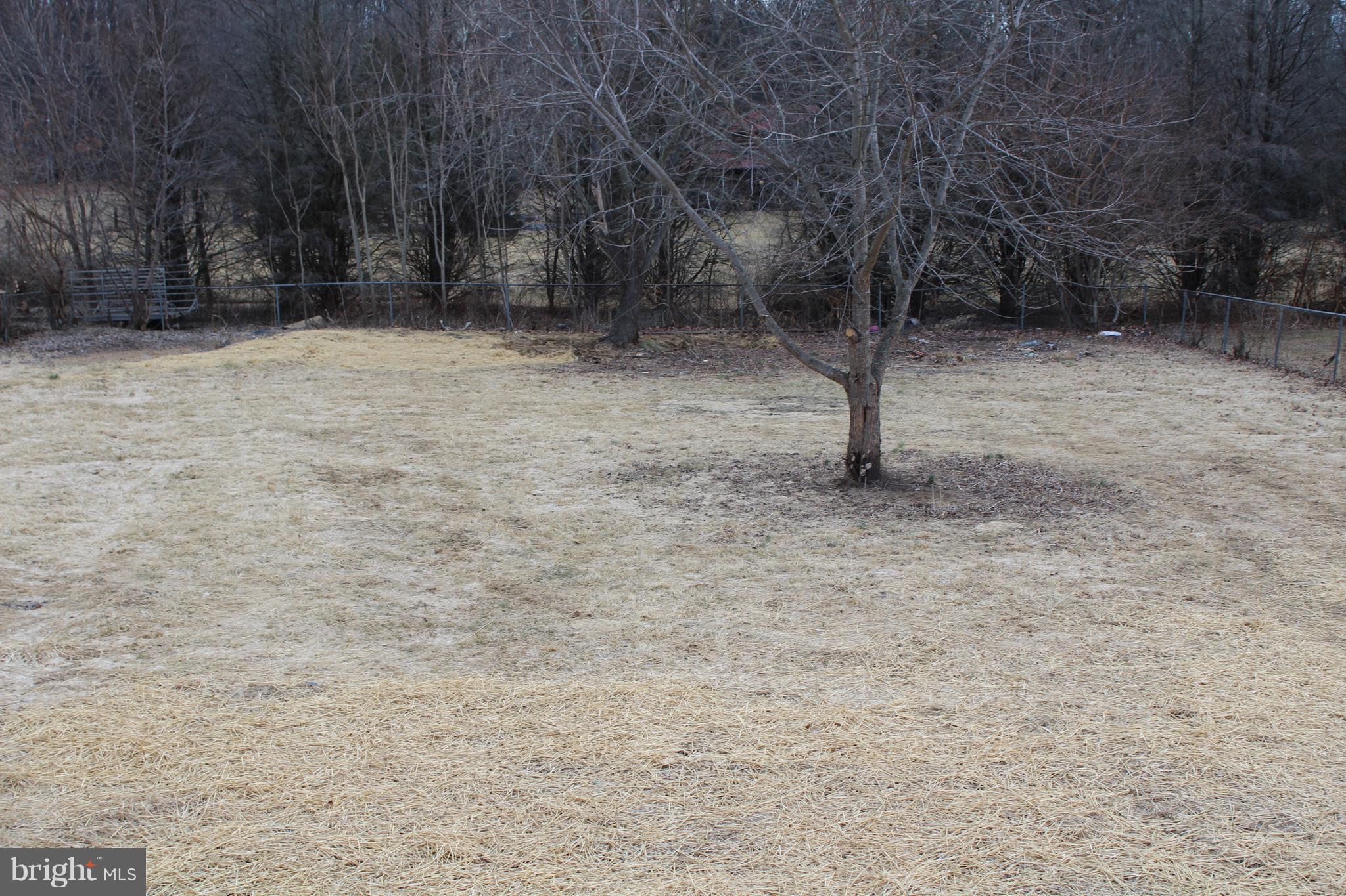 1588 Runnymeade Road Bunker Hill, WV 25413 - Photo 27 of 30 Exterior (Rear)