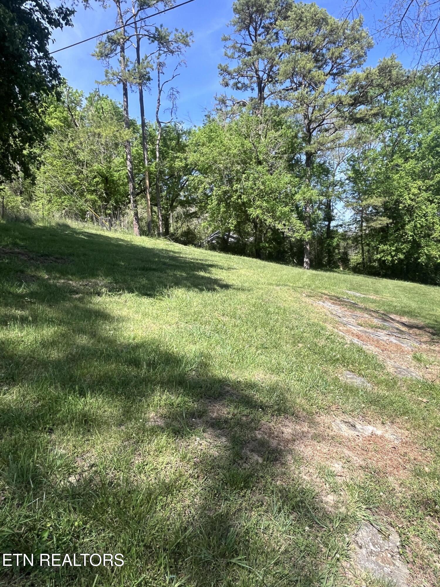 3002 Highway 61 Luttrell, TN 37779 - Photo 10 of 35 IMG_0786