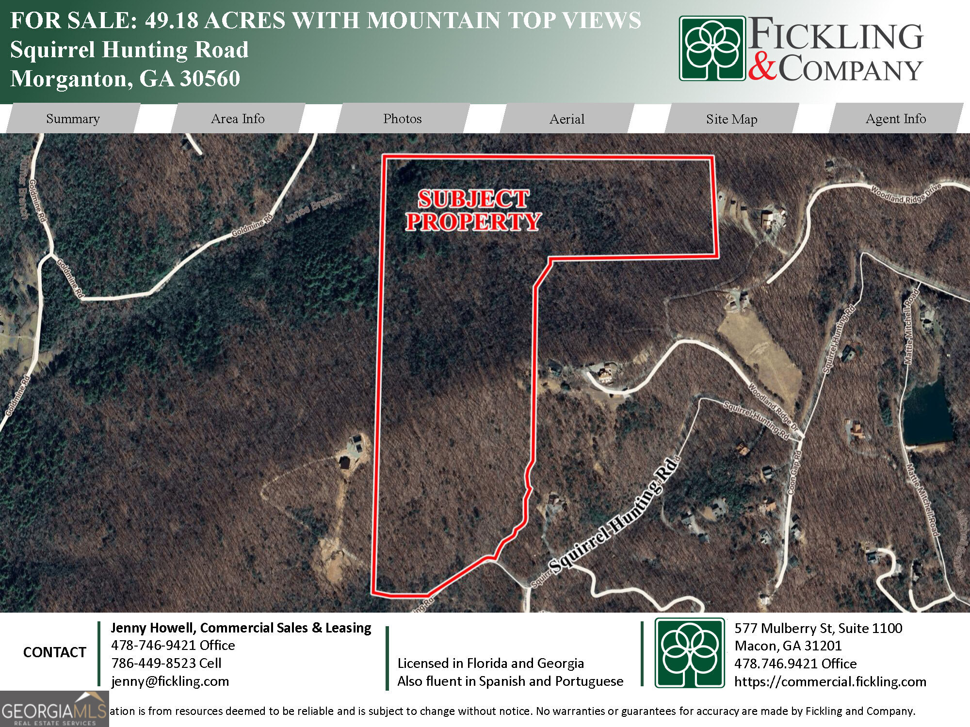 0 Squirrel Hunting Road Morganton, GA 30560 - Photo 1 of 10