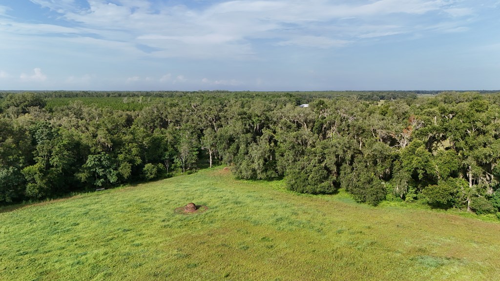 Vacant 145th Road Live Oak, FL 32060 - Photo 9 of 42
