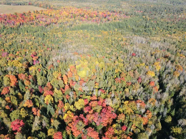 $179,900 | Lot 97 New Sweden Road, New Sweden, ME 04762