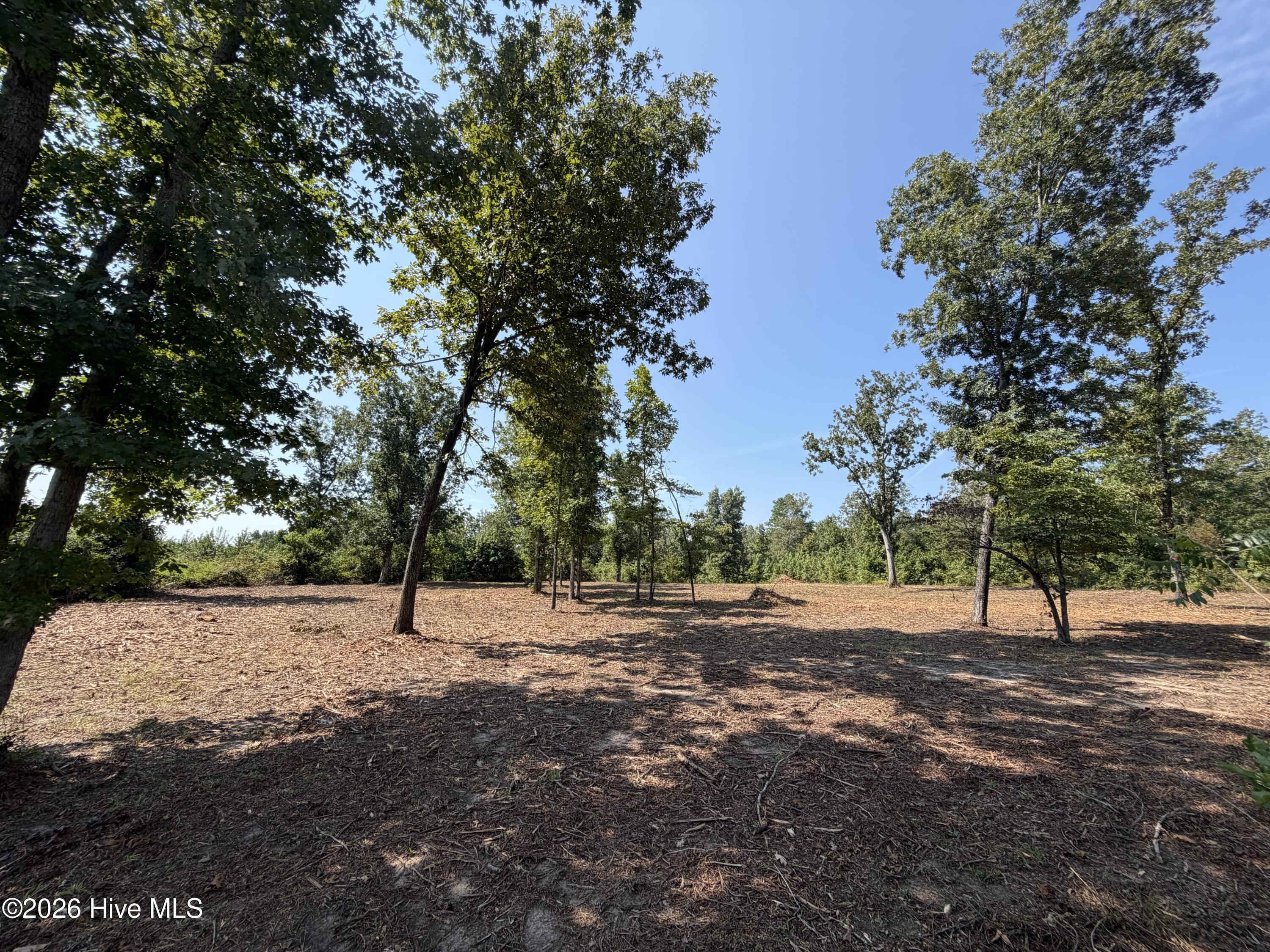 0 Poole Melton Road Blythe, GA 30805 - Photo 5 of 14 Gallery Image 5