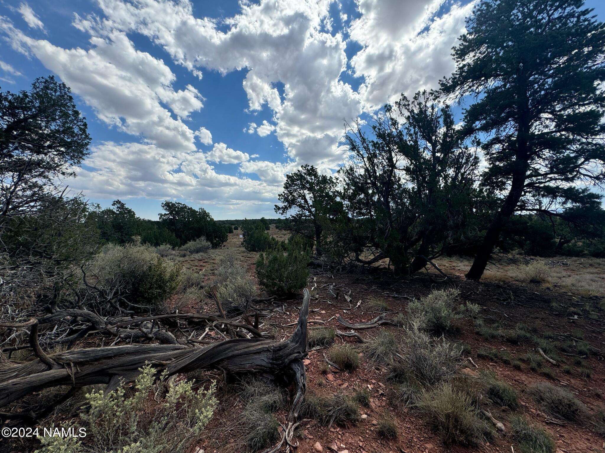 196 South Kaibab Road Williams, AZ 86046 - Photo 7 of 14 IMG_1824
