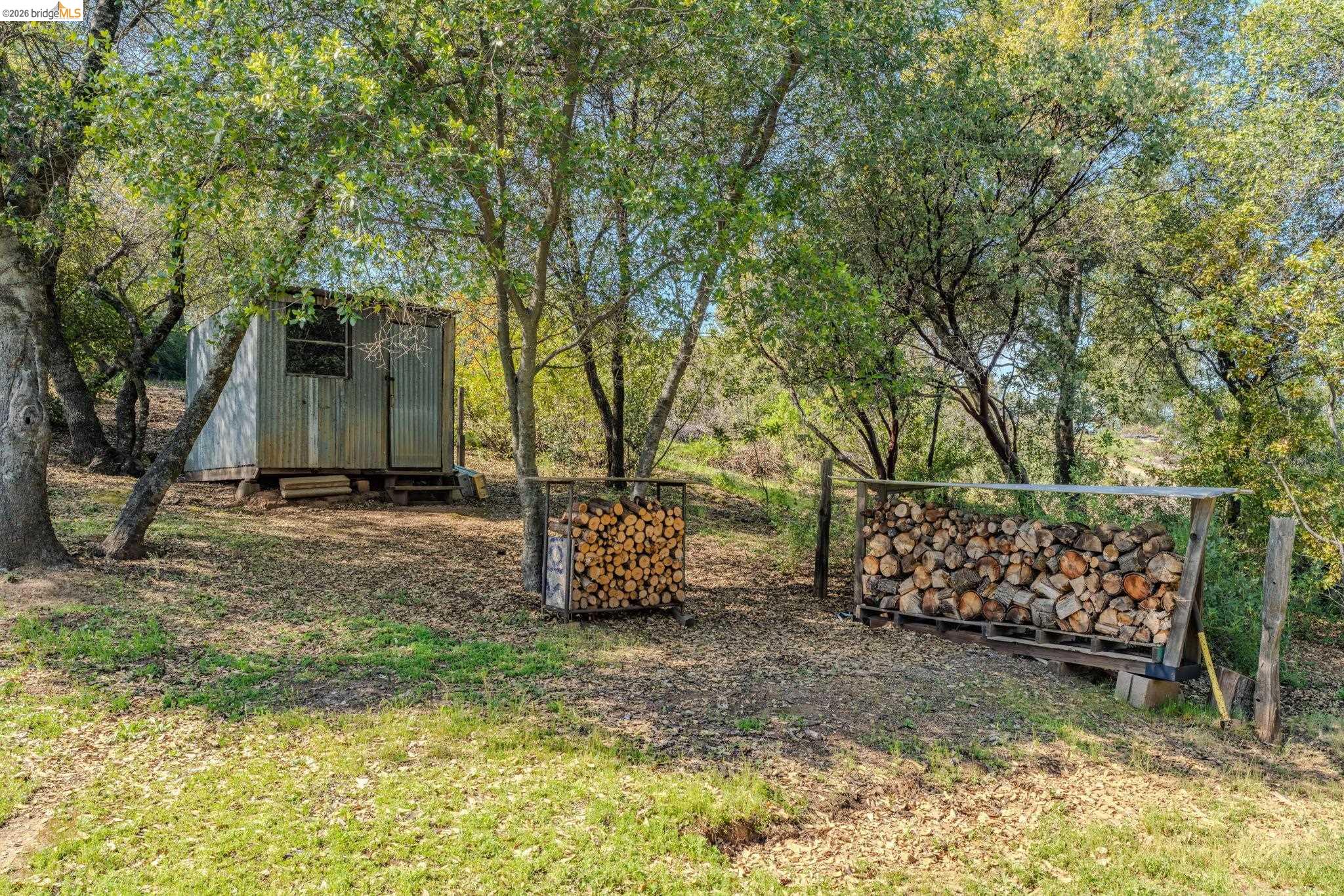 7035 Old Gulch Road San Andreas, CA 95249 - Photo 33 of 45 View of yard featuring a shed and view of wooded area
