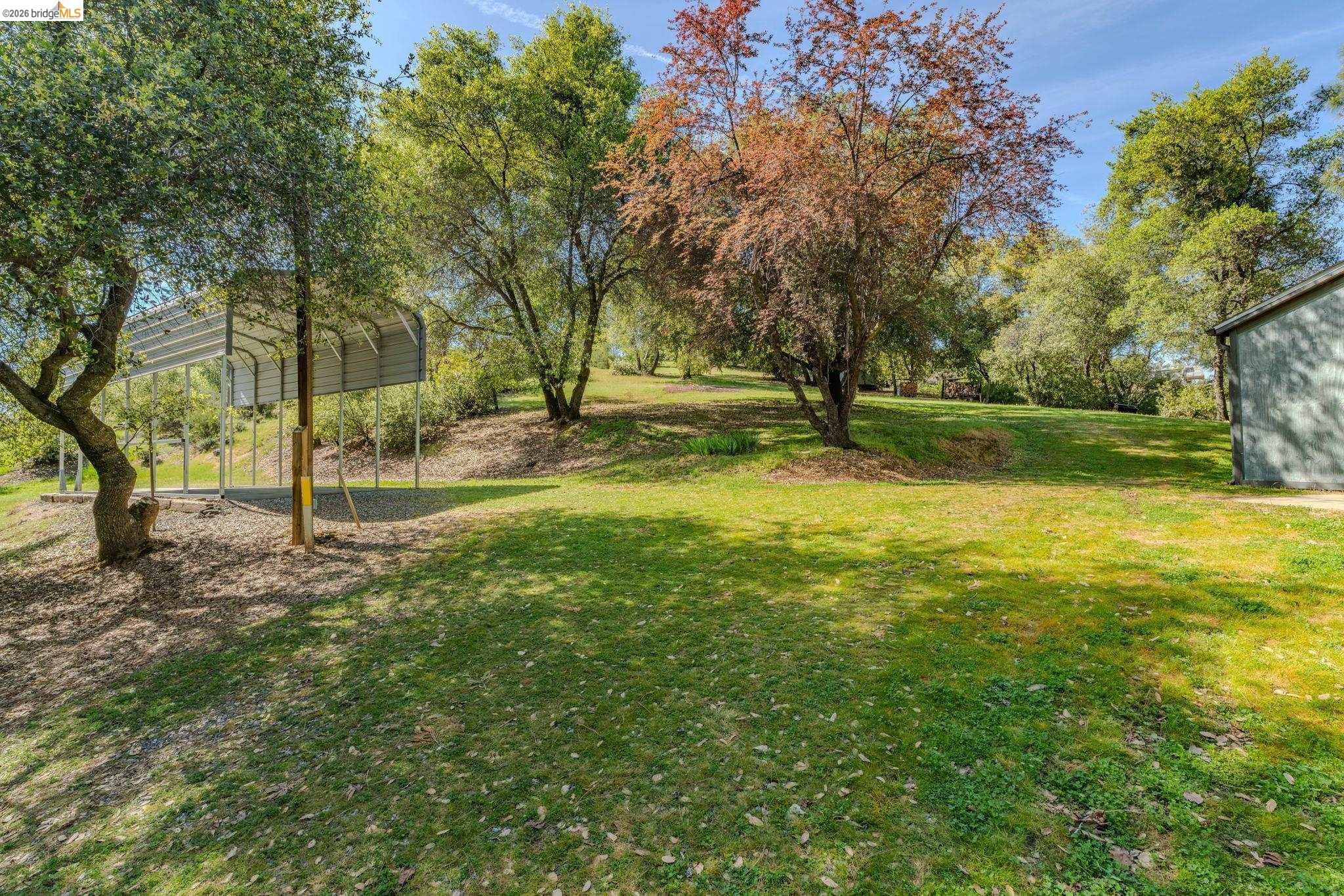 7035 Old Gulch Road San Andreas, CA 95249 - Photo 34 of 45 View of green lawn