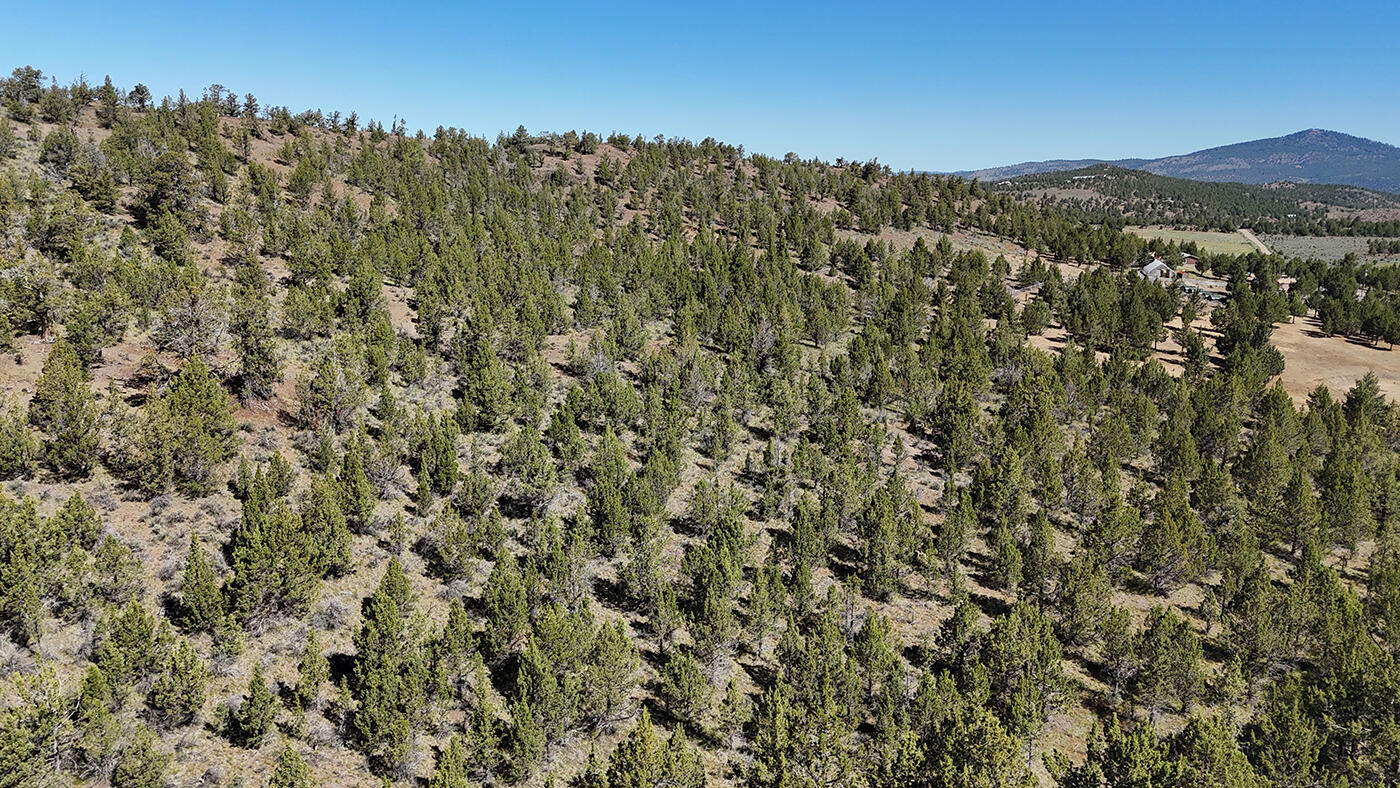Southeast Osprey Road Prineville, OR 97754 - Photo 4 of 30 Dans Riverside Ranch Property 06