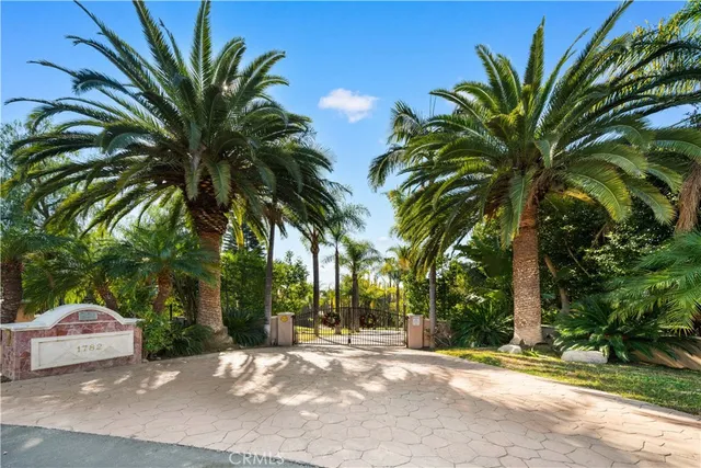 a view of a street with palm trees