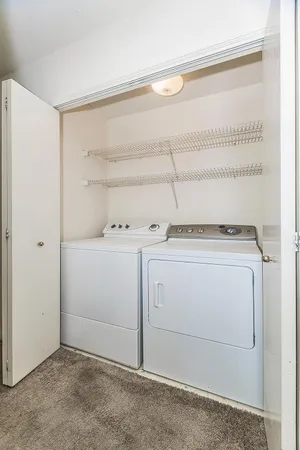 a view of swimming pool with large trees and wooden fence