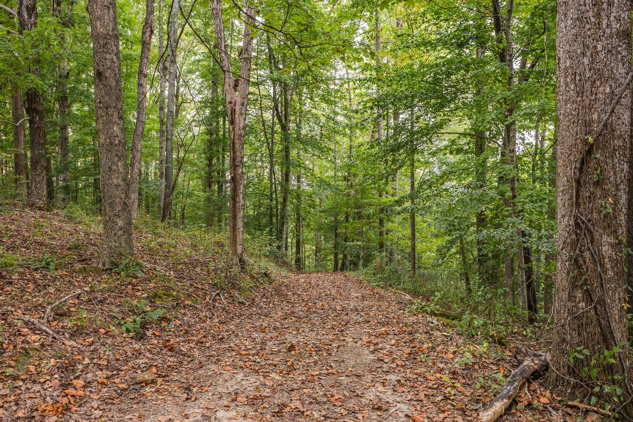 5192 Whitlow Mountain Road Ashland City, TN 37015 - Photo 16 of 35