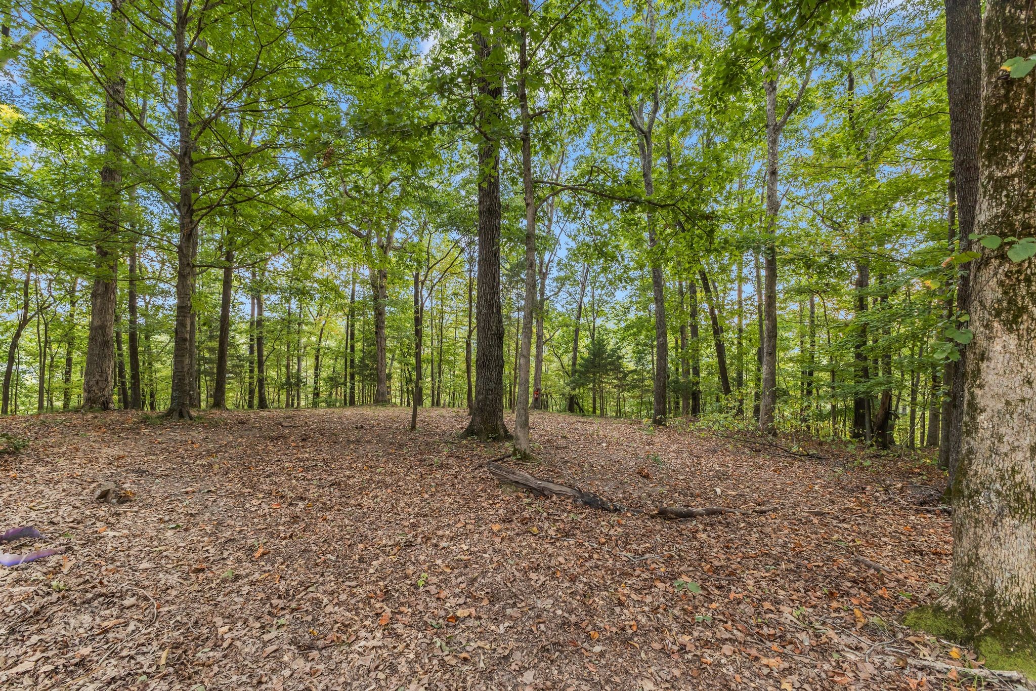 5192 Whitlow Mountain Road Ashland City, TN 37015 - Photo 17 of 35