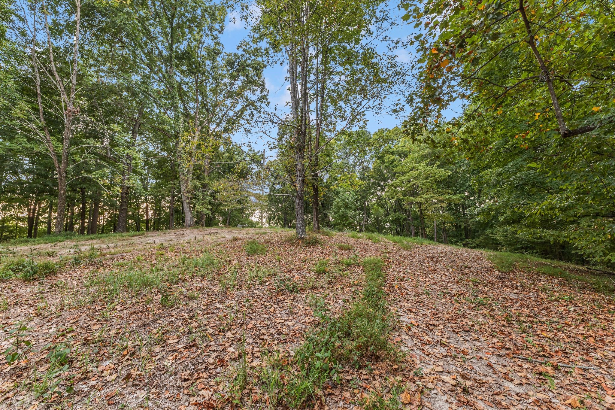 5192 Whitlow Mountain Road Ashland City, TN 37015 - Photo 18 of 35