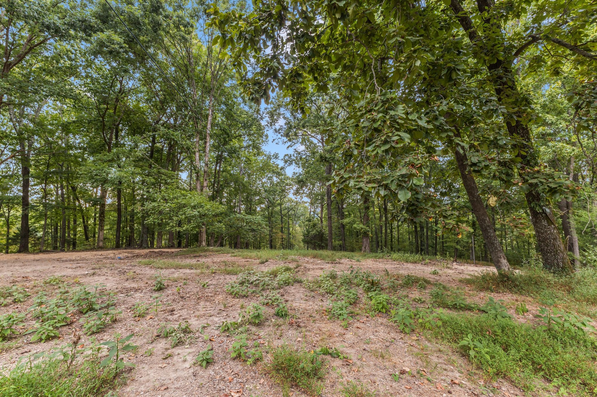 5192 Whitlow Mountain Road Ashland City, TN 37015 - Photo 23 of 35