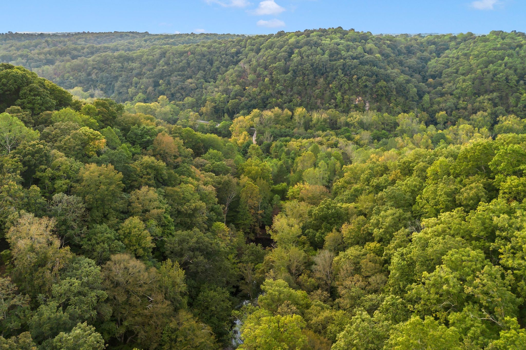 5192 Whitlow Mountain Road Ashland City, TN 37015 - Photo 25 of 35