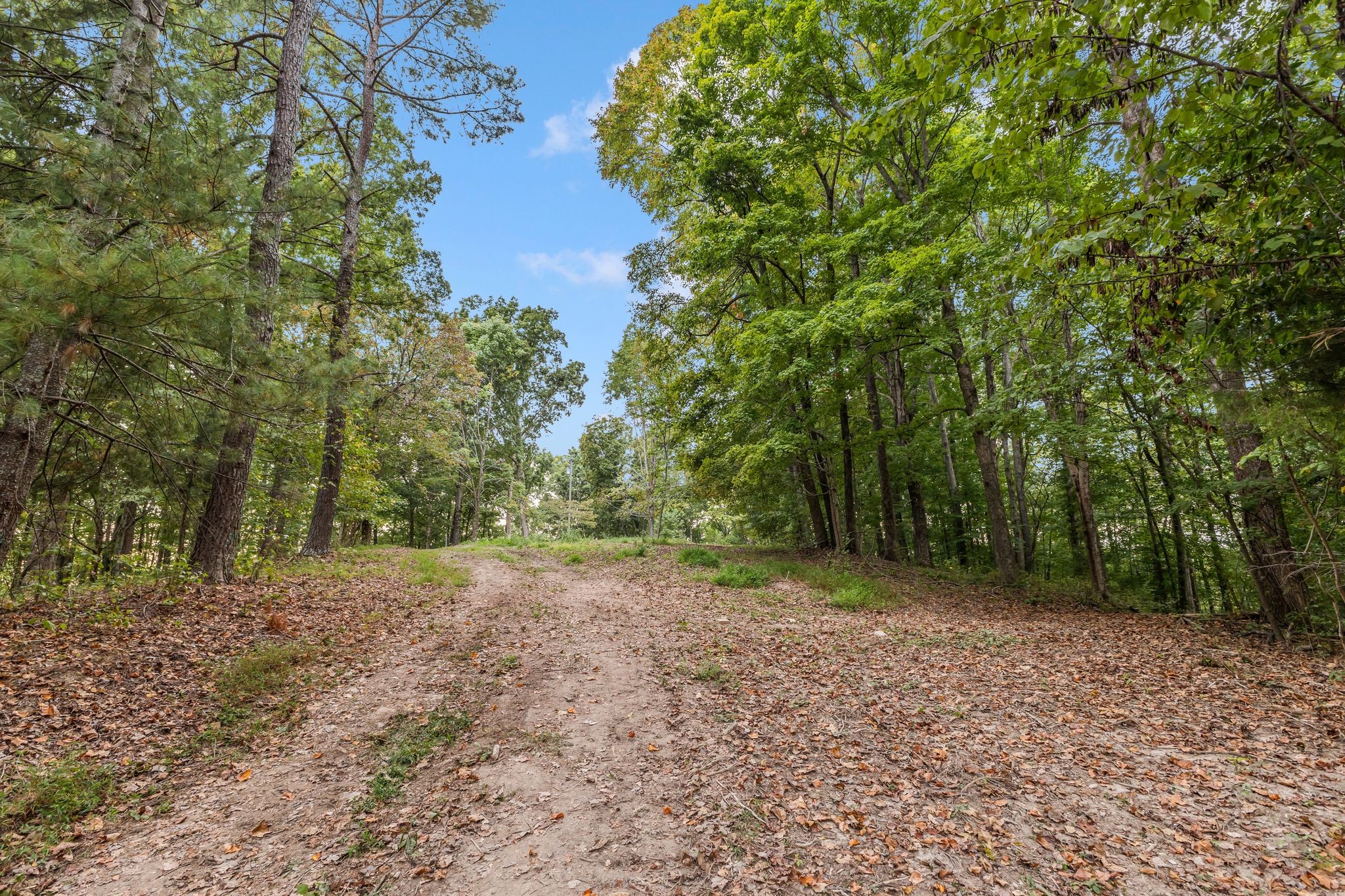 5192 Whitlow Mountain Road Ashland City, TN 37015 - Photo 30 of 35