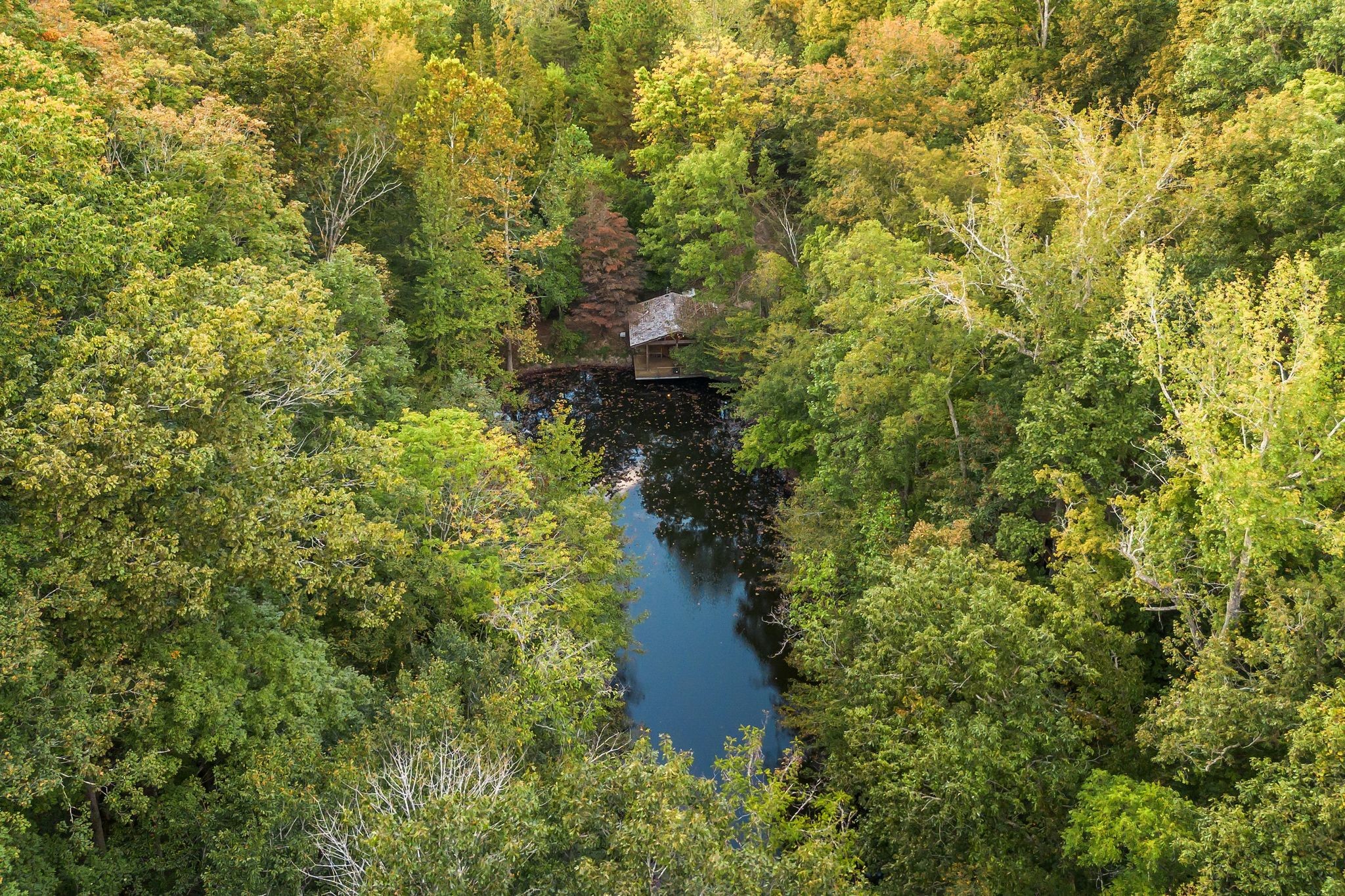 5192 Whitlow Mountain Road Ashland City, TN 37015 - Photo 5 of 35