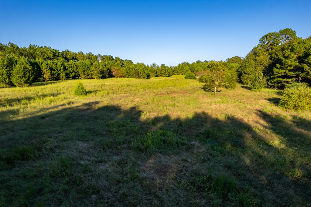 2226 Randall Wade Road Headland, AL 36345 - Photo 40 of 60