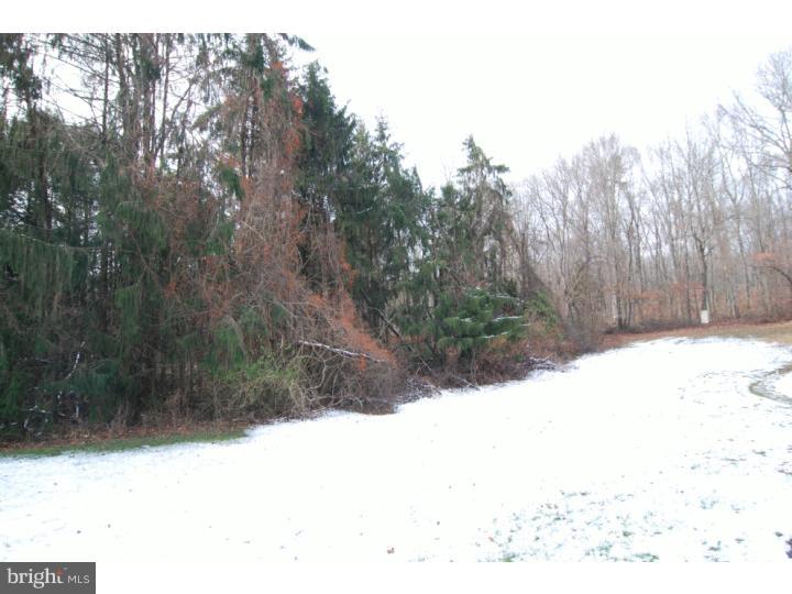 793 Ridgeway Road Birdsboro, PA 19508 - Photo 10 of 10 Gallery Image 10