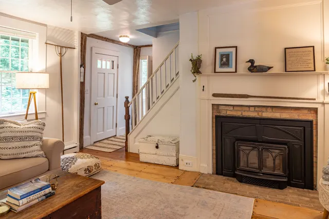 a potted plant sitting in front of a house