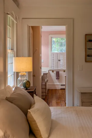 a view of a park with large trees