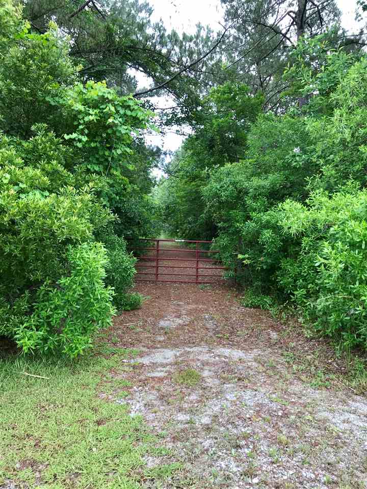 3483 Fries Bay Road Loris, SC 29569 - Photo 2 of 12