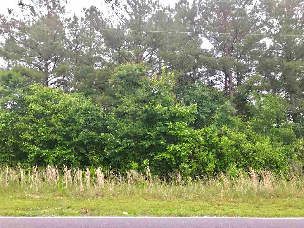 3483 Fries Bay Road Loris, SC 29569 - Photo 11 of 12