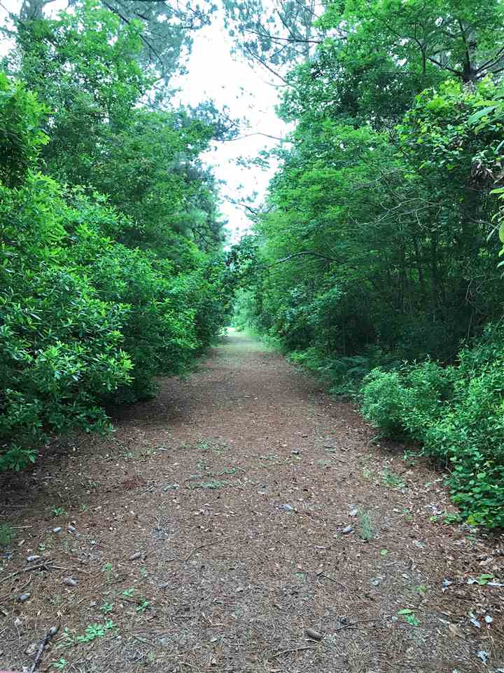 3483 Fries Bay Road Loris, SC 29569 - Photo 3 of 12