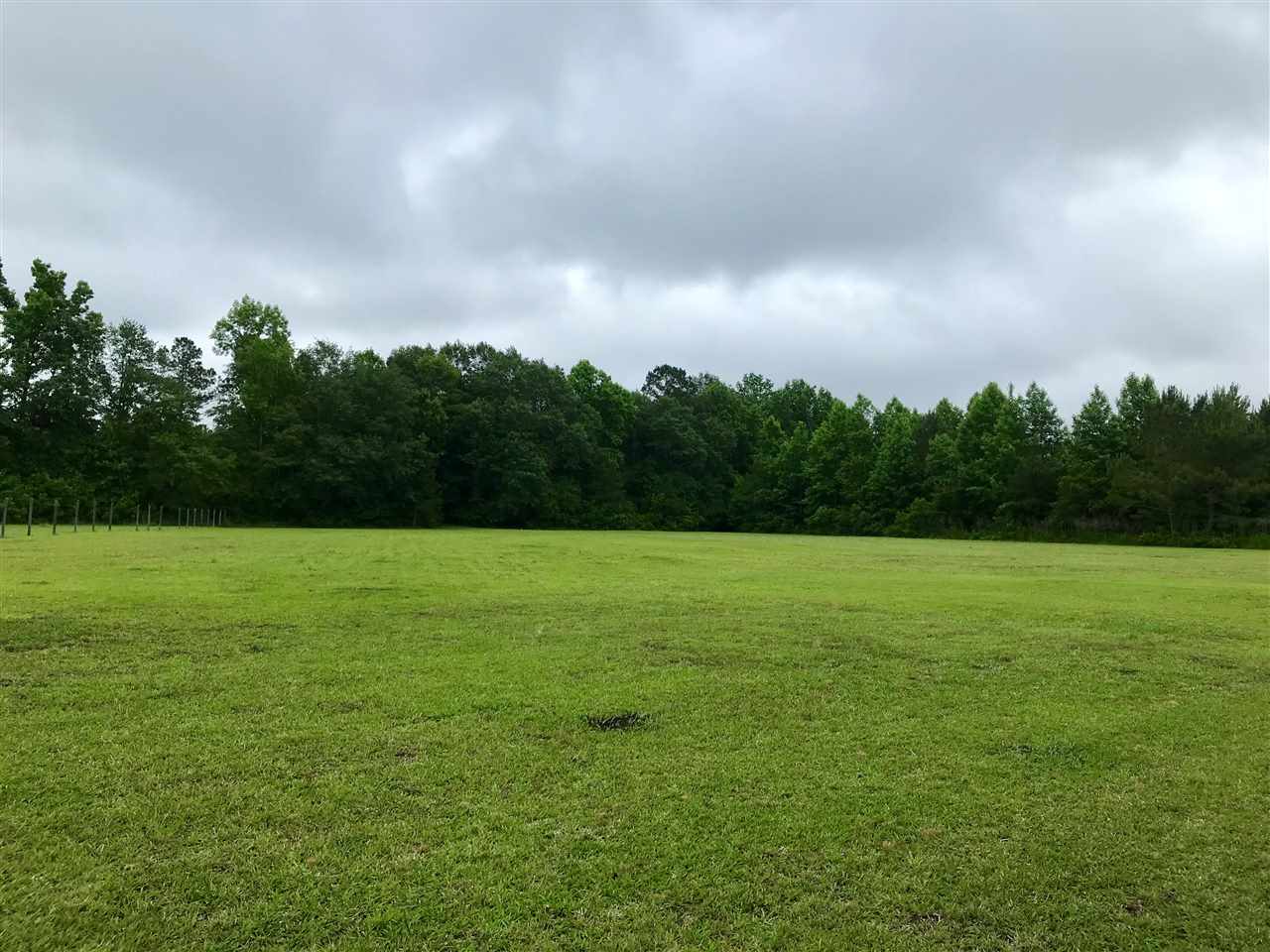 3483 Fries Bay Road Loris, SC 29569 - Photo 4 of 12
